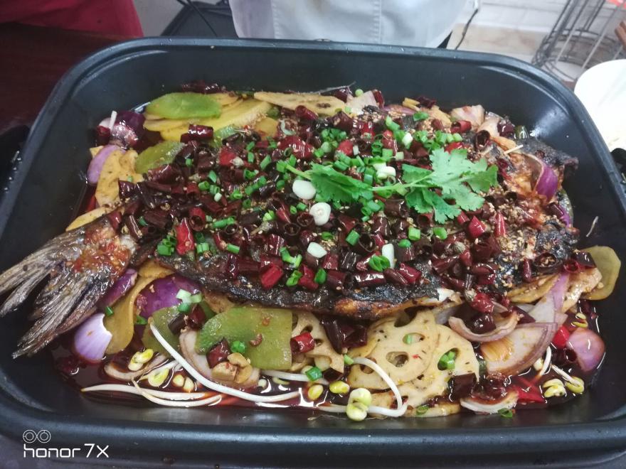 烤魚午夜福利理论片高清在线观看播放
